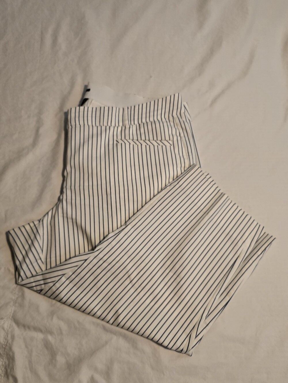Lane Bryant White Pants with Navy Stripes